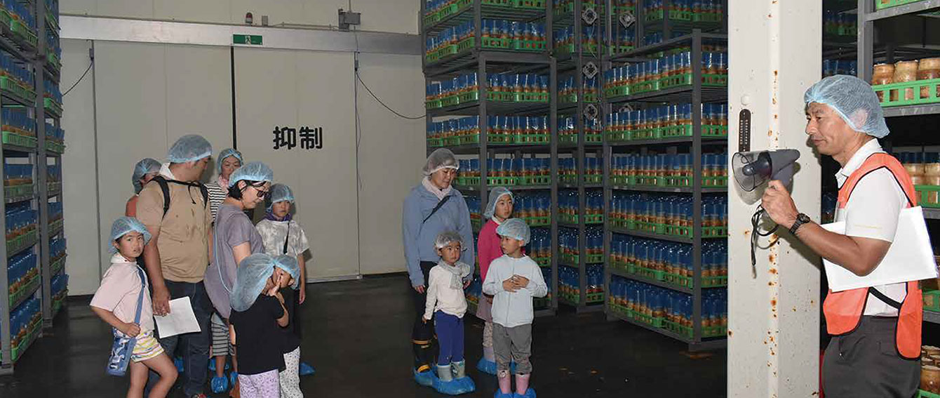 准組合員収穫体験の写真(長野県長野市)