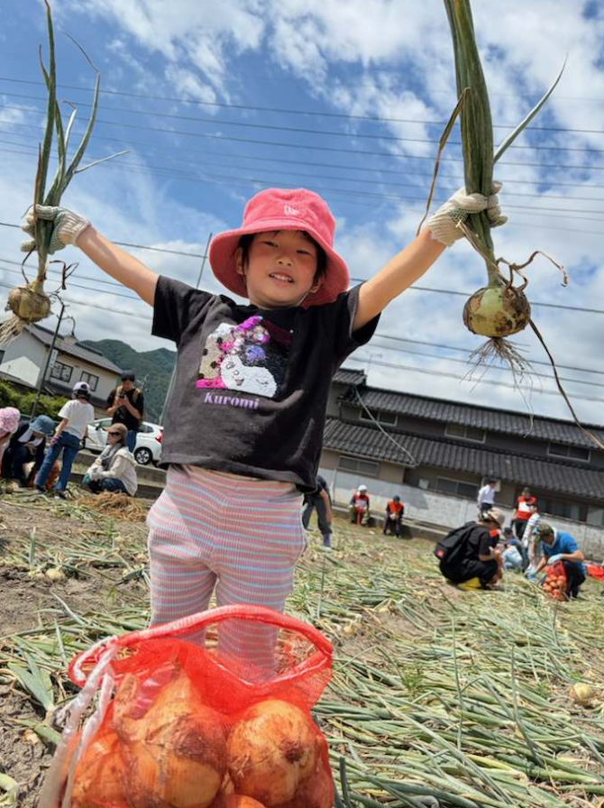 准組合員が親子でたまねぎ収穫の写真(長野県長野市)
